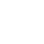 NERVANA white logo-16