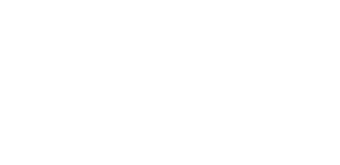 NERVANA white logo-16